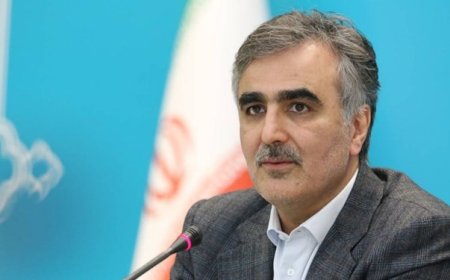 فرزین: امکان دسترسی سریع‌ به ۶.۷ میلیارد دلار از منابع ایران در صندوق بین‌المللی پول فراهم شد