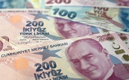 ارزش لیر ترکیه به پایینترین رقم خود سقوط کرد