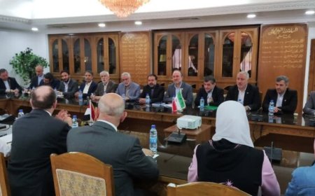 همکاری دانشگاه‌های ایران و سوریه گسترش می‌یابد