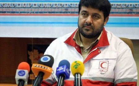 کولیوند: هلال احمر آماده خدمت به ۲ میلیون زائر خانه است