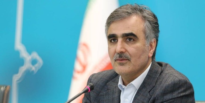 فرزین: امکان دسترسی سریع به ۶.۷ میلیارد دلار از منابع ایران در صندوق بینالمللی پول فراهم شد