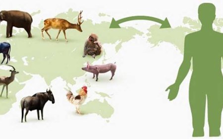 مواظب این 200 نوع بیماری خطرناک باشید