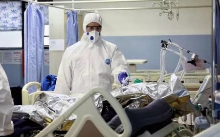 شناسایی 14 بیمار مبتلا به کرونا در کشور