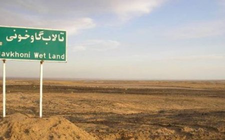 زاینده‌رود جان می‌گیرد