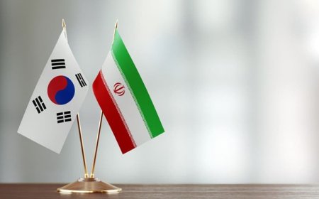 لایحه شکایت ایران از کره جنوبی هفته آینده اعلام وصول می‌شود