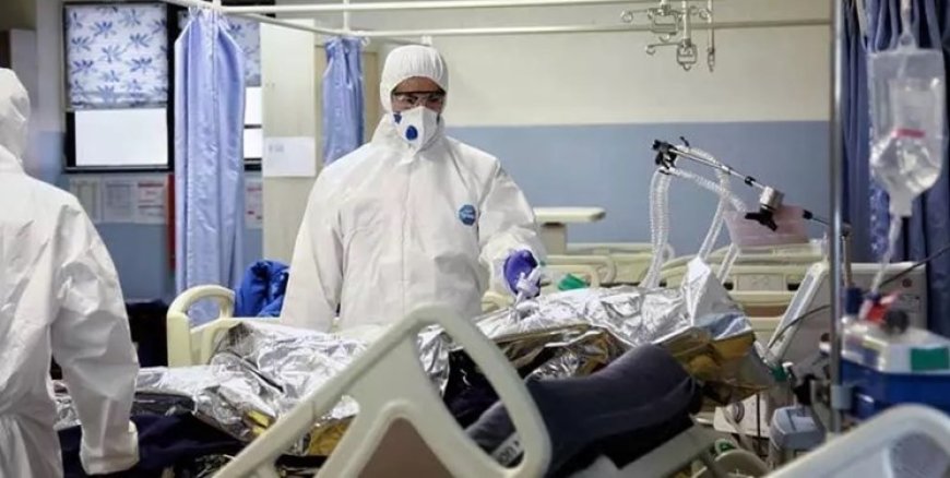 شناسایی 14 بیمار مبتلا به کرونا در کشور