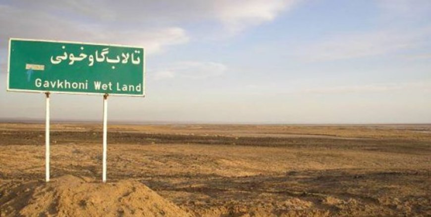 زایندهرود جان میگیرد