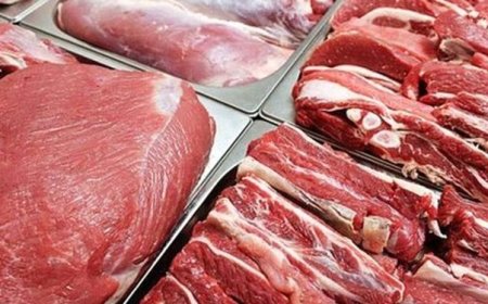 شیطنت واردکنندگان در ماجرای حذف ارز گوشت وارداتی