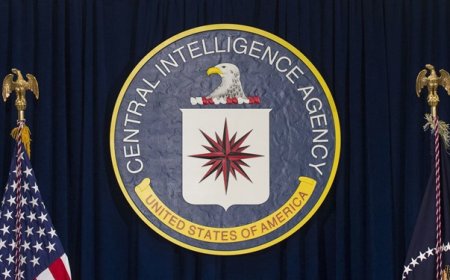 کشف جاسوس سازمان سیا در چین و آغاز تحقیقات پکن درباره او