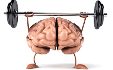هوش و حافظه بزرگسالان را چگونه تقویت کنیم ؟