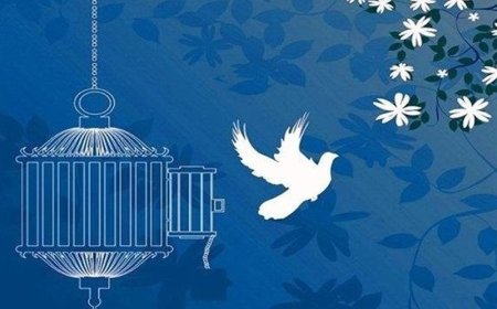 تصمیم بزرگ یک پدر برای قاتل دخترش: از قصاص مرد عاشق‌پیشه گذشت کردم!