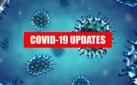 جدیدترین آمار مبتلایان و قربانیان کرونا در جهان