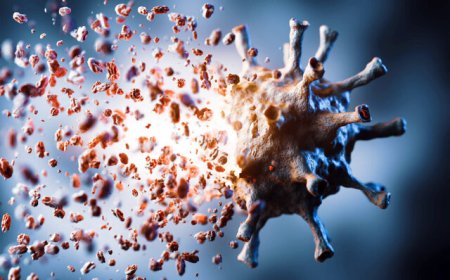 کشف نقطه ضعف کرونا