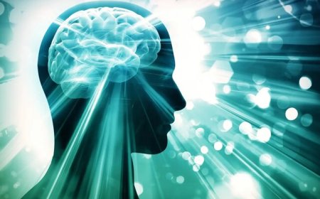 روشی ساده در بهبود تمرکز و حافظه