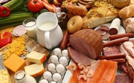 صادرات کدام محصولات صنایع غذایی بیشتر است؟