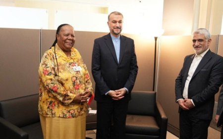 AmirAbdollahian annonce la planification de la visite du président Raïssi en Afrique du Sud