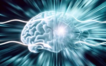 رشد مغزی در گرو حرکت پاهاست