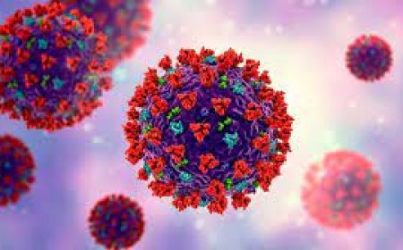 ۲۲ فوتی و شناسایی ۹۶۹ بیمار جدید کرونا در یک هفته گذشته