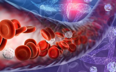 محققان یک شرکت دانش‌بنیان موفق به ساخت محصولی دارویی شدند که برای درمان برخی سرطان‌ها از جمله سرطان خون استفاده می‌شود.