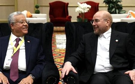 دیدار روسای مجالس ایران و مصر در ژوهانسبورگ