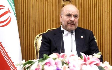 قالیباف دستاوردهای سفر به آفریقای جنوبی را تشریح کرد