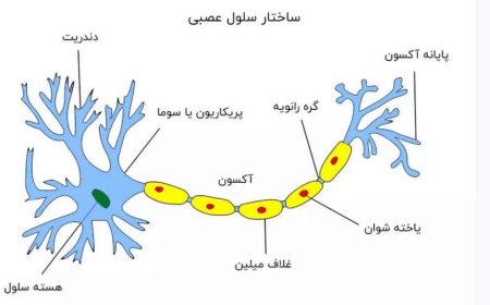 افسردگی و اضطراب از علائم اولیه ام اس است؟