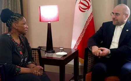 مذاکرات امنیتی سیاسی مهم در حاشیه مجمع پارلمانی بریکس