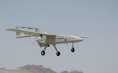 حضور قریب به ۲۰۰ فروند پهپاد در رزمایش پهپادی ارتش