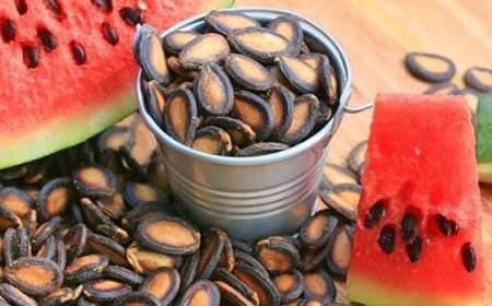 تخمه هندوانه بخورید این اتفاق ها در بدن تان می افتد