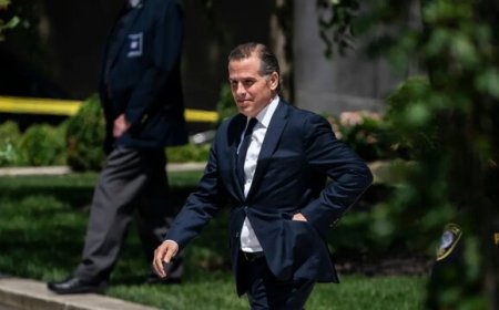 هانتر بایدن اتهامات درخصوص در اختیار داشتن سلاح‌ غیرقانونی را رد کرد