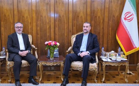 دیدار سفیر جدید ایران در مجارستان با امیرعبداللهیان