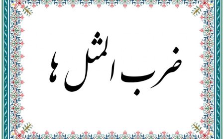 ضرب المثل قدر زر زرگر شناسد به چه معنی است؟