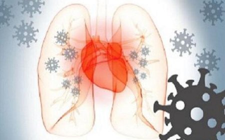تاثیر مستقیم کووید ۱۹ بر عروق کرونر قلب