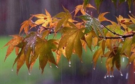 نخستین باران پاییزی در مناطق شمالی اصفهان بارید