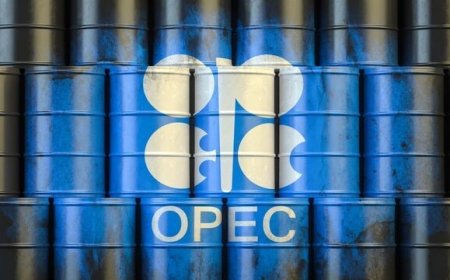 اوپک به خوش‌بینی از دورنمای نفت چسبید
