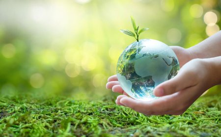 حقایقی از زندگی که مجبورید بدانید و آنها را بپذیرید