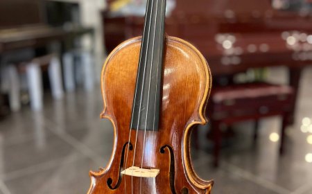 «رمز و راز ساز» با بداهه‌نوازی ویلن و پیانو