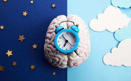 با این غذاها مغزتان مثل ساعت کار می کند! + اینفوگرافی