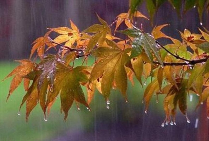 نخستین باران پاییزی در مناطق شمالی اصفهان بارید