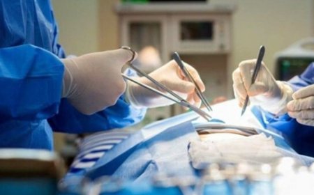 انجام 14 هزار عمل پیوند عضو در این استان