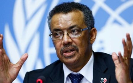 سازمان‌جهانی بهداشت: تا چه زمانی می‌خواهد فاجعه بشری در غزه ادامه یابد