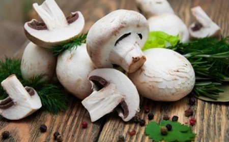 به این 6 دلیل قارچ بیشتری بخورید!