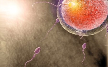 فراخوان| ساخت تراشه ریزسیال جداکننده اسپرم‌ جهت درمان ناباروری