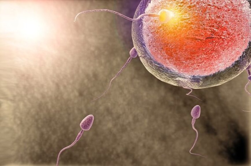 فراخوان| ساخت تراشه ریزسیال جداکننده اسپرم‌ جهت درمان ناباروری