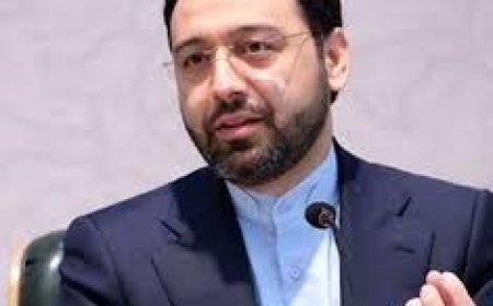 شهادت جوان‌ترین استاندار/خادم‌الرضا در روز ولادت حضرت غریبانه رفت