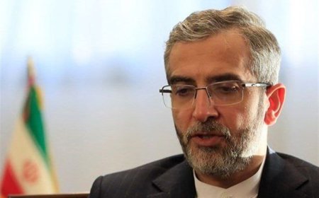 باقری‌کنی با حکم مخبر سرپرست وزارت خارجه شد