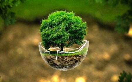 کمک به توسعه متوازن زیرساخت&amp;#38;zwnj;های زیست بوم نوآوری با راه&amp;#38;zwnj;اندازی سامانه پایش