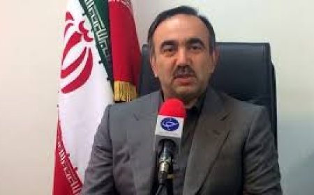 شجاعان در گفتگو با مهر: انتخابات کاغذی برگزار می‌شود/ شمارش آرای انتخابات پیش روساده است