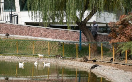 تنفس هوای قابل قبول در تهران