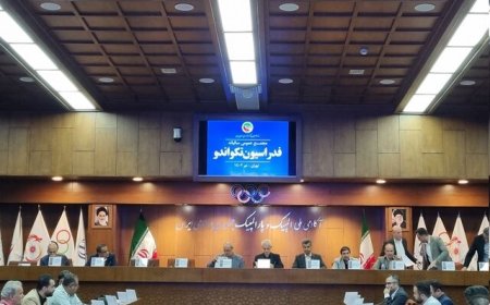 بودجه و درآمد ۱۰۹ میلیارد تومانی فدراسیون تکواندو در سال ۱۴۰۲